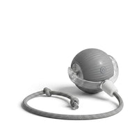 Purryn Smart Ball