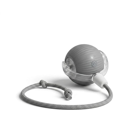 Purryn Smart Ball