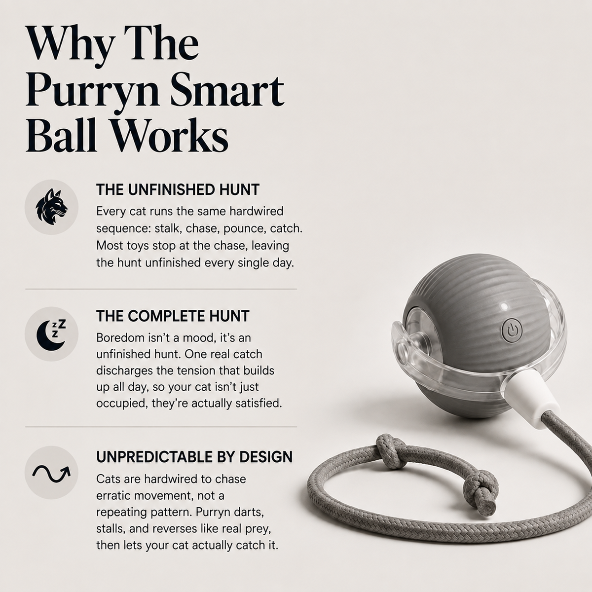 Purryn Smart Ball (Copy)