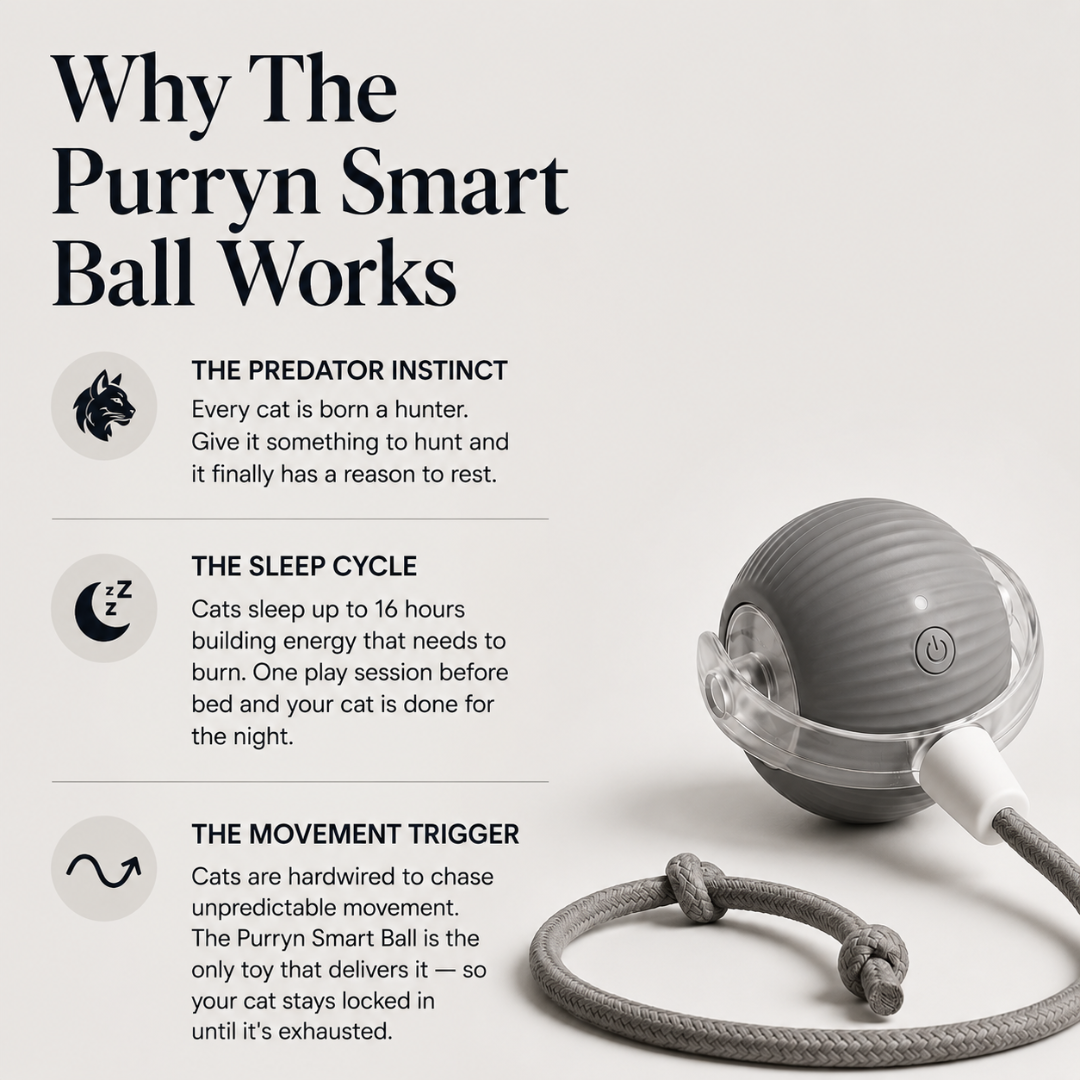 Purryn Smart Ball