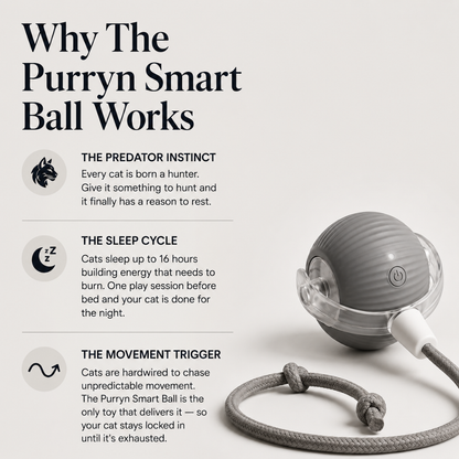 Purryn Smart Ball
