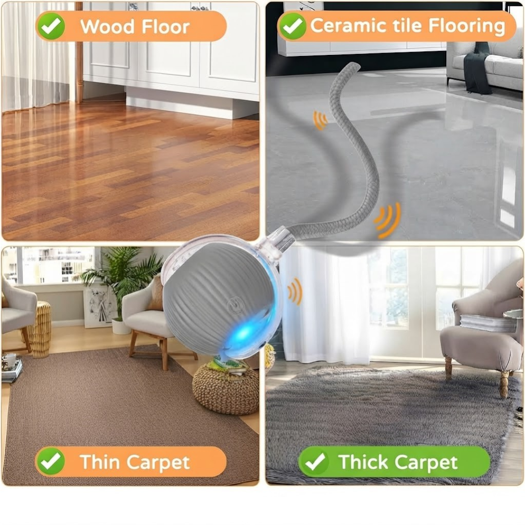 Purryn Smart Ball