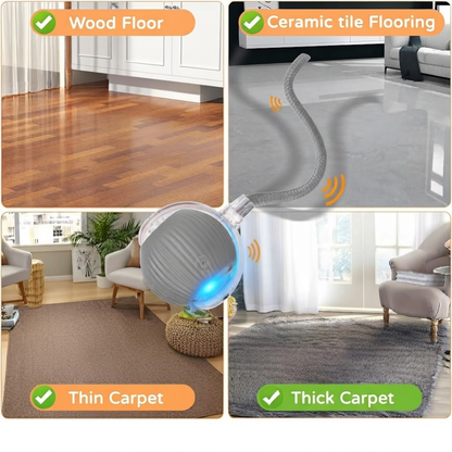 Purryn Smart Ball